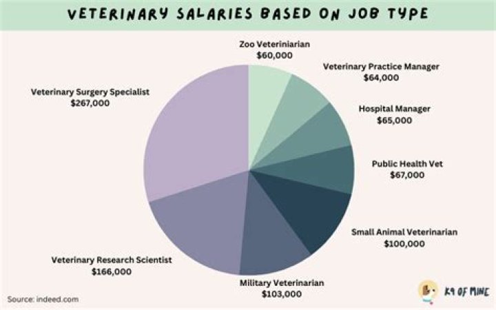 Are AAHA vets more expensive?