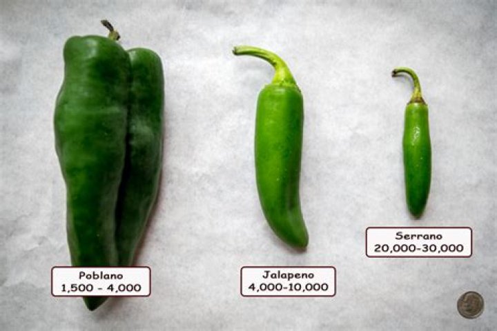 Are serrano peppers really hot?