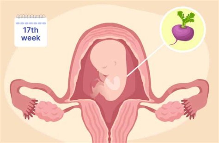 Can you get SPD at 17 weeks?