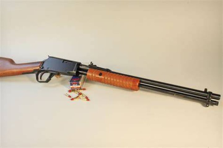 Does Henry make a pump action 22 rifle?