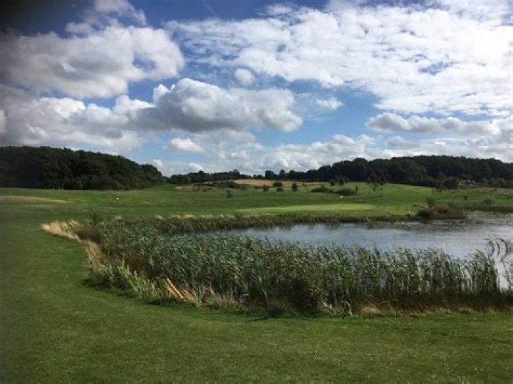 Has American Golf closed down?