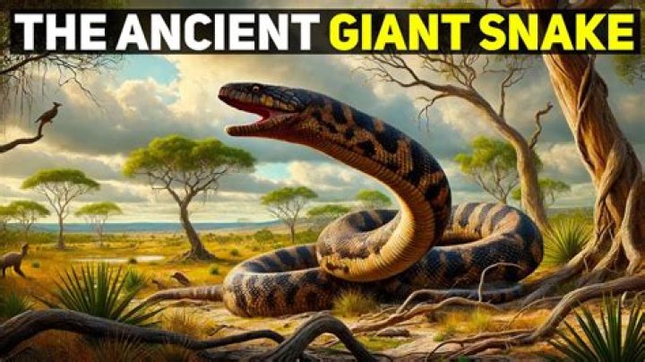 How big was the Wonambi?
