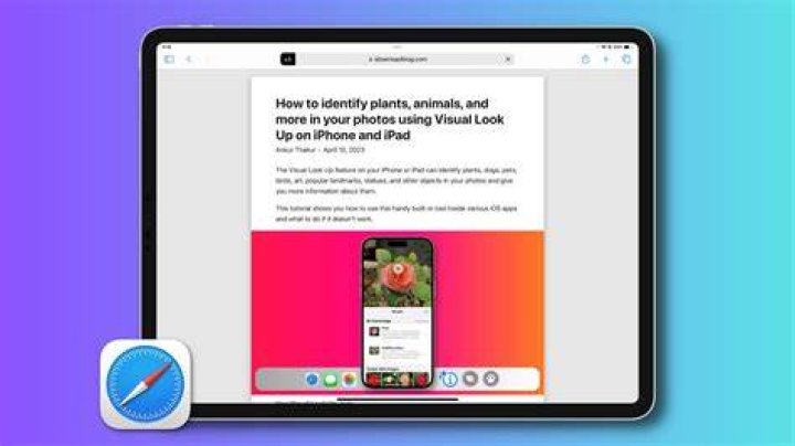 How can I watch Flash browser on my iPad?