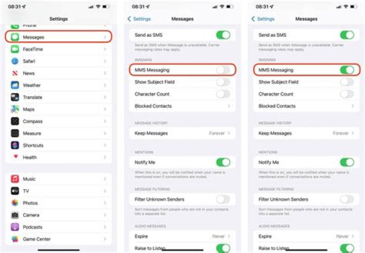 How do I enable H2O on my iPhone?