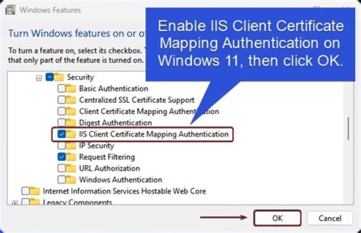 How do I enable IIS client certificate mapping authentication?