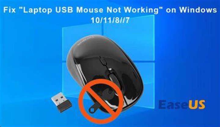 How do I fix my USB mouse not working?