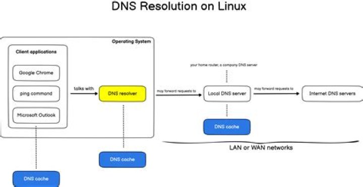 How do I flush DNS in Linux?