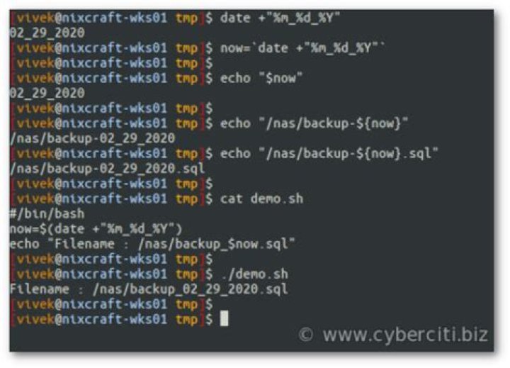 How do I read a filename in bash?