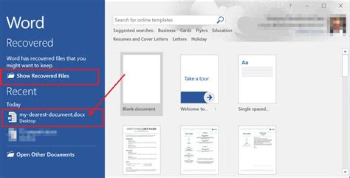 How do I recover a document in Word 2003?