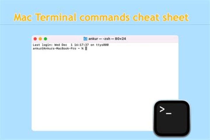 How do I run a command in Terminal Mac?