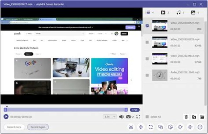 How do you capture a video from a website?