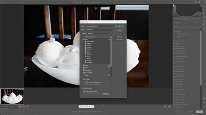 How do you delete a preset in Camera Raw?