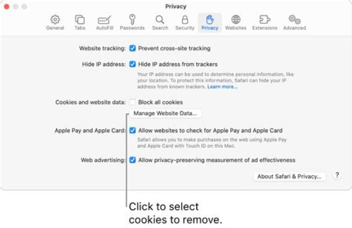 How do you delete website data on a Mac?