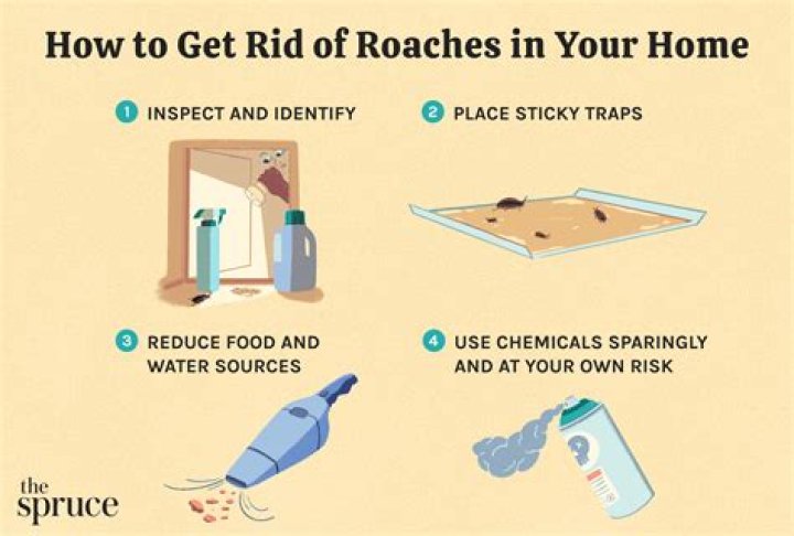 How do you flush out roaches?