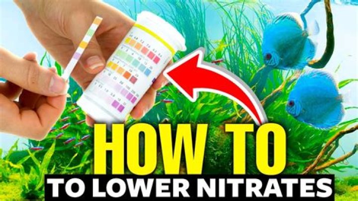 How do you lower nitrates quickly?
