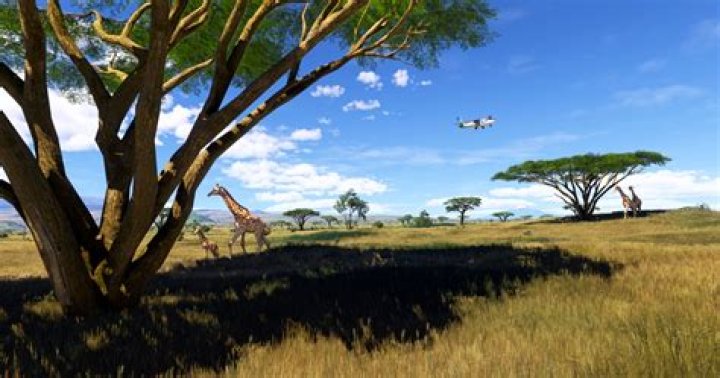 How do you simulate dawn?