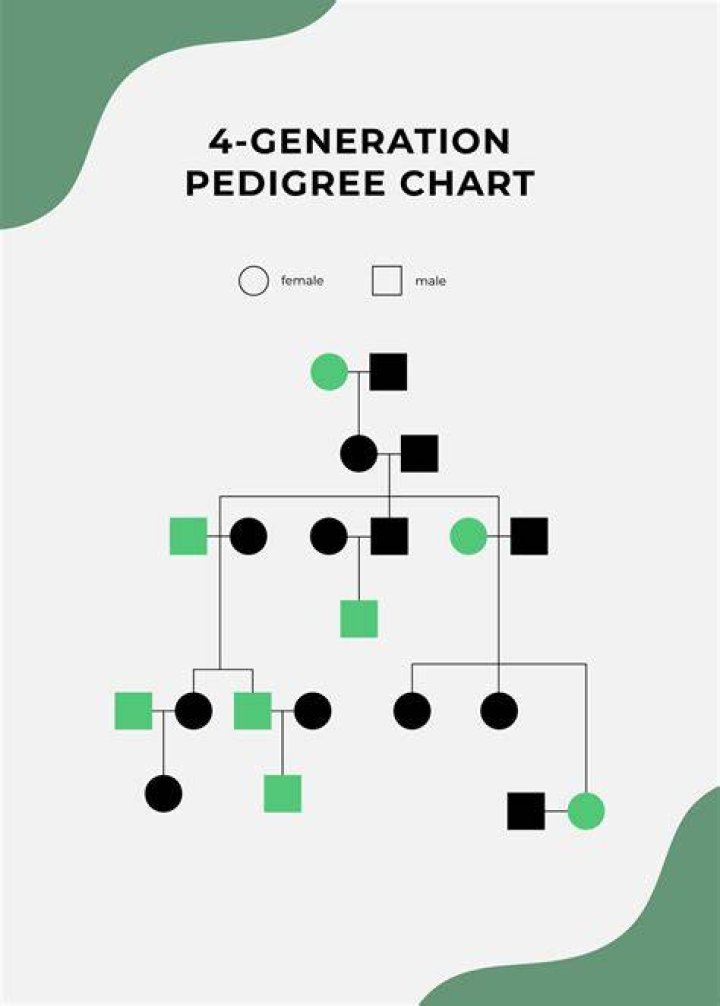 How do you solve a pedigree chart problem?