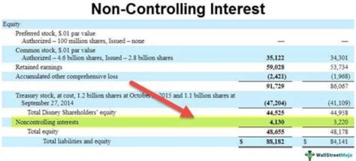 How is non-controlling interest reported?