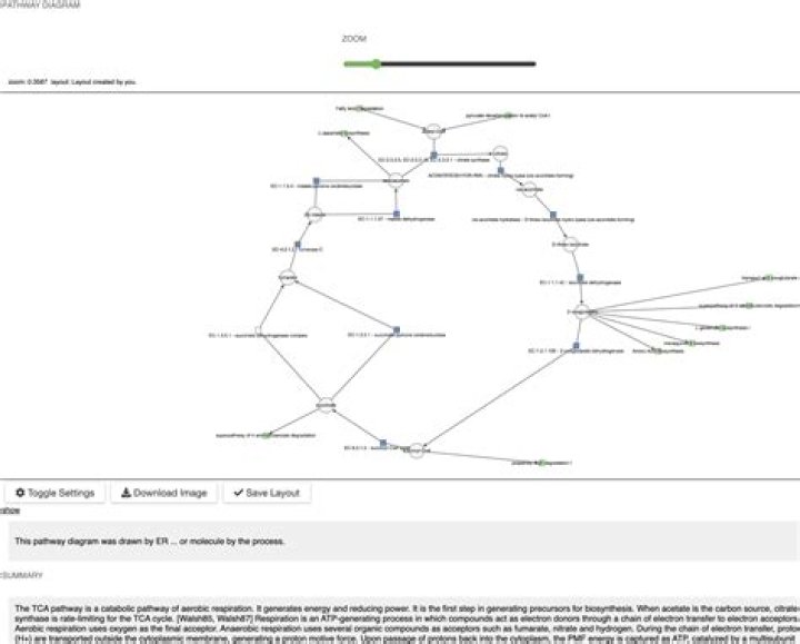 How many pathways are there in MetaCyc database?
