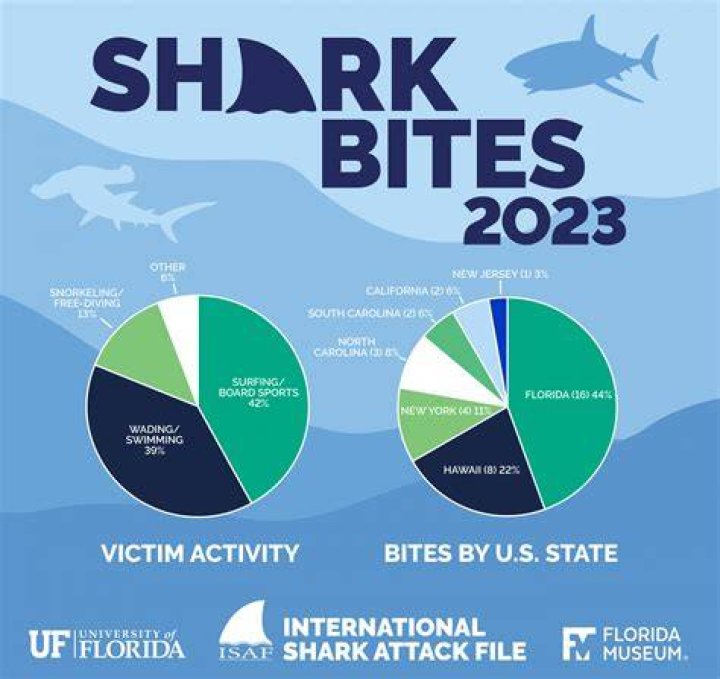 How many shark attacks were there in 2016?
