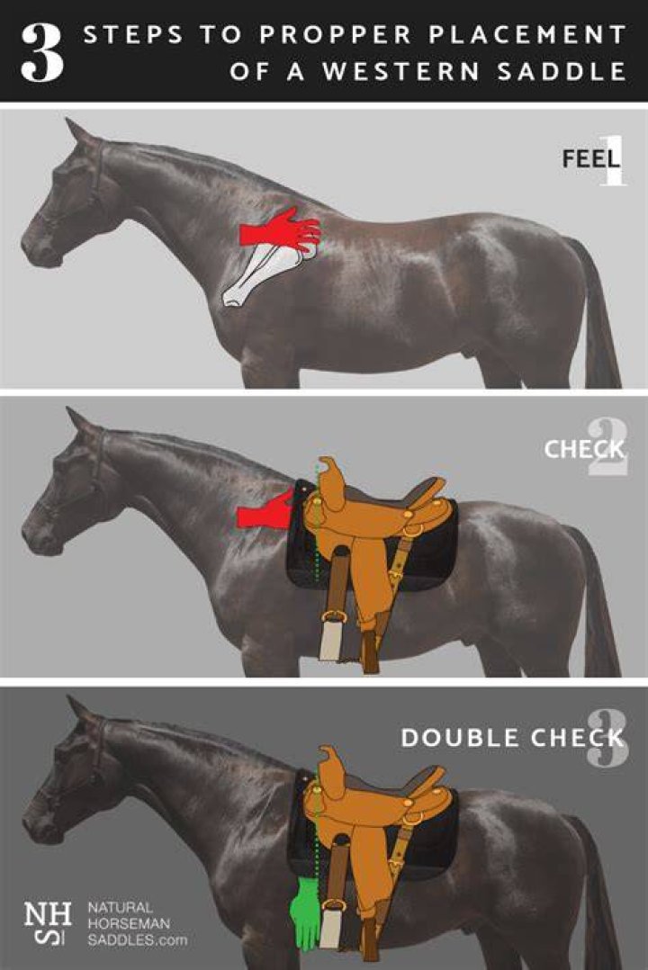 Is a saddle pad necessary?