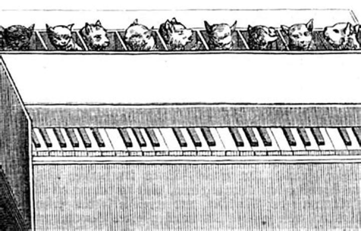 Is cat piano real?