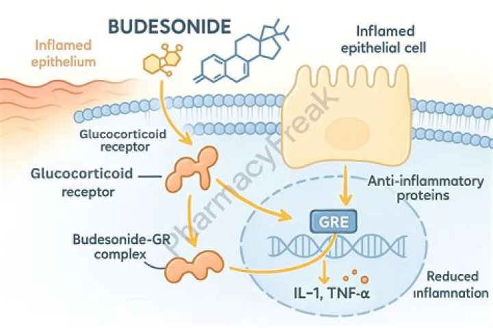 Is ciclesonide the same as budesonide?