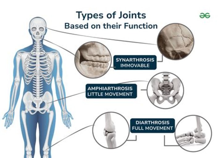 Is Gomphosis a diarthrosis joint?
