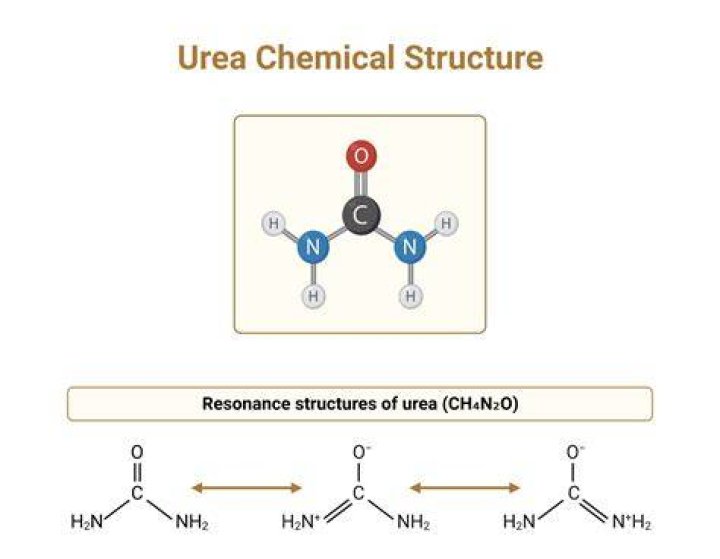 Is urea soluble in acetone?