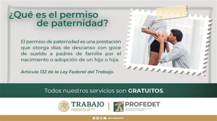 Que es lo que dice el articulo 29?