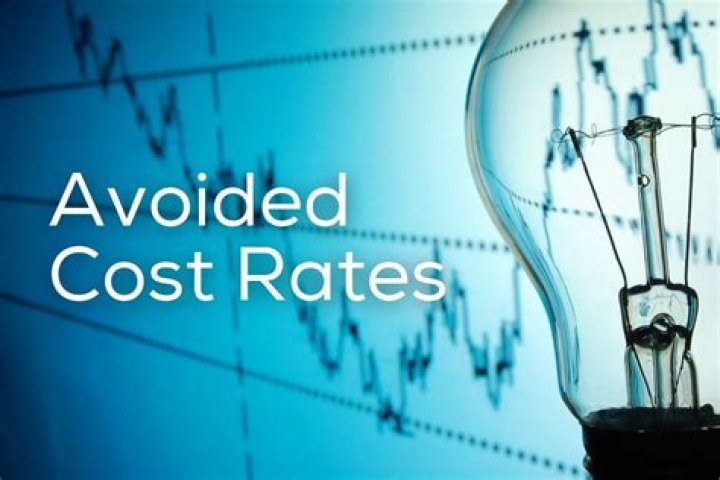 What are avoided costs?