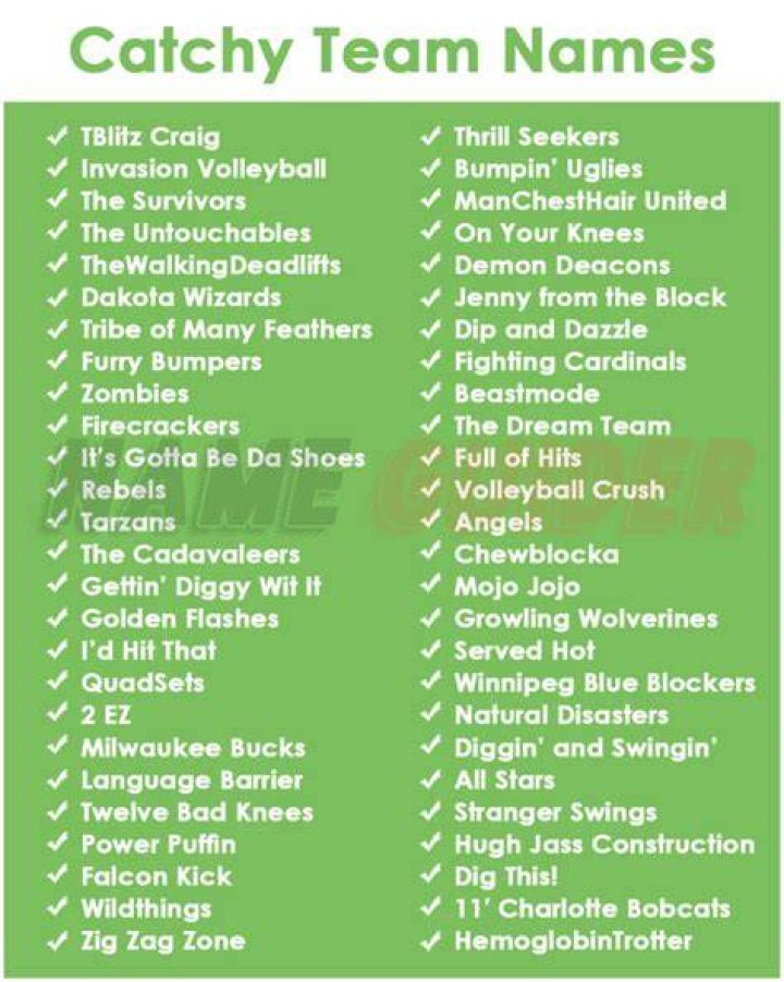 What are some catchy team names?