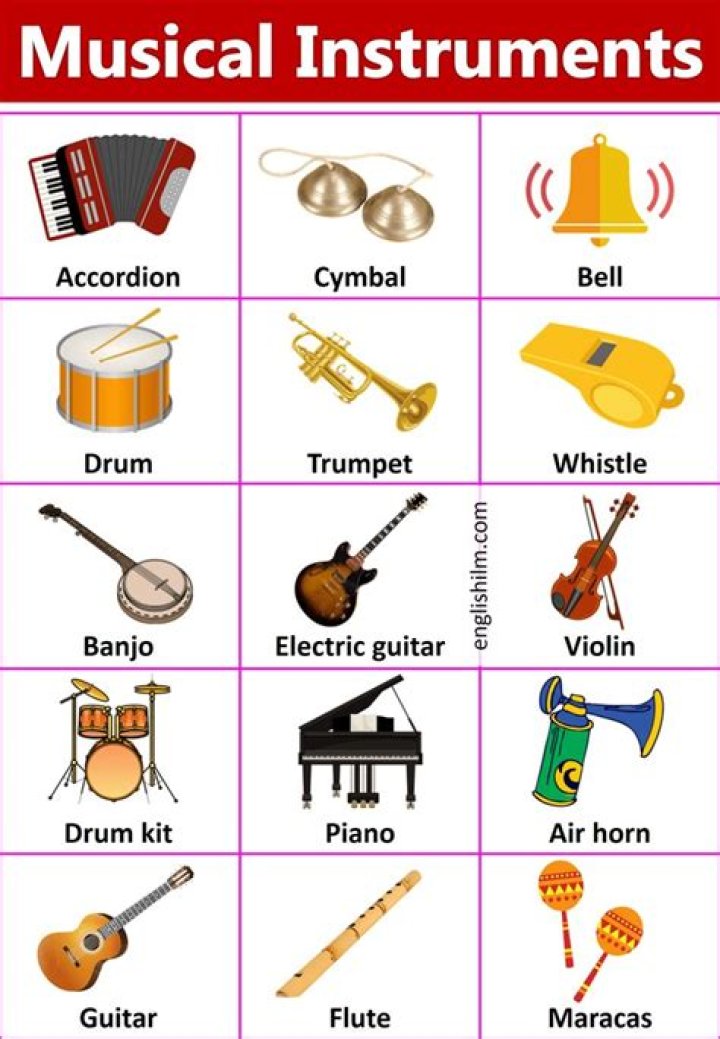 What are the 3 primary instruments?