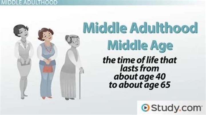 What are the physical development in middle adulthood?