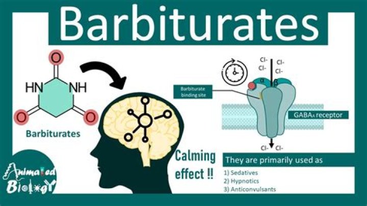What do barbiturates do to you?