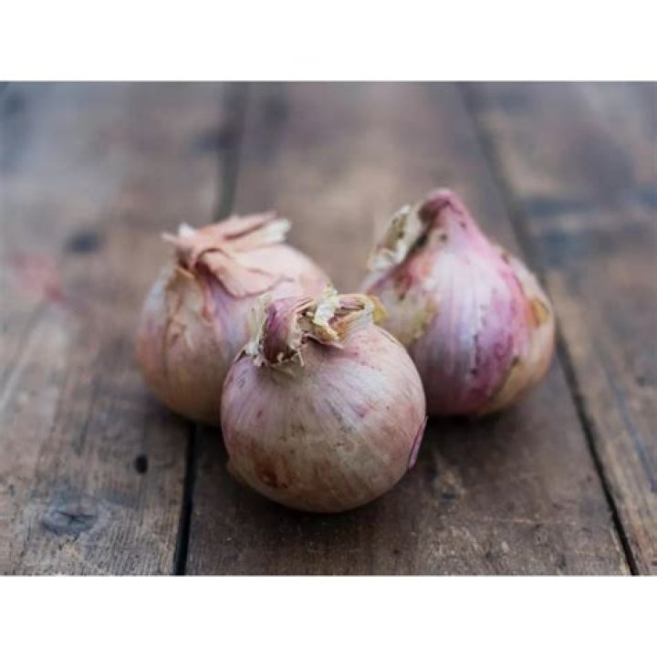 What do Roscoff onions taste like?