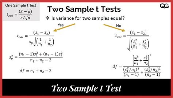 What does a 2 sample t test tell you?