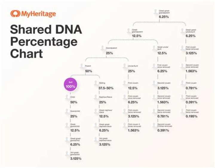 What does a 37% DNA match mean?