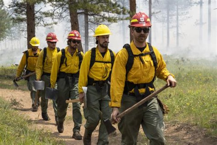 What does a Forest Service engineer do?