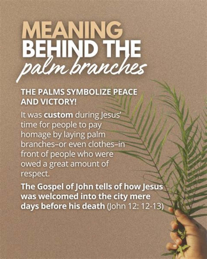 What does palm mean in Hebrew?