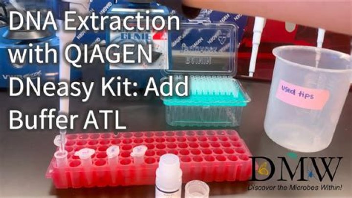 What does QIAGEN buffer do?