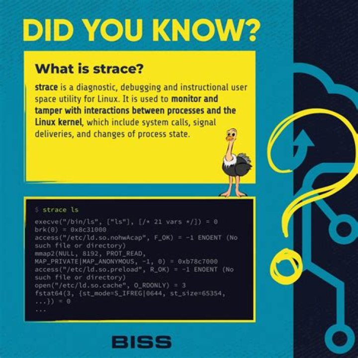 What does strace output mean?
