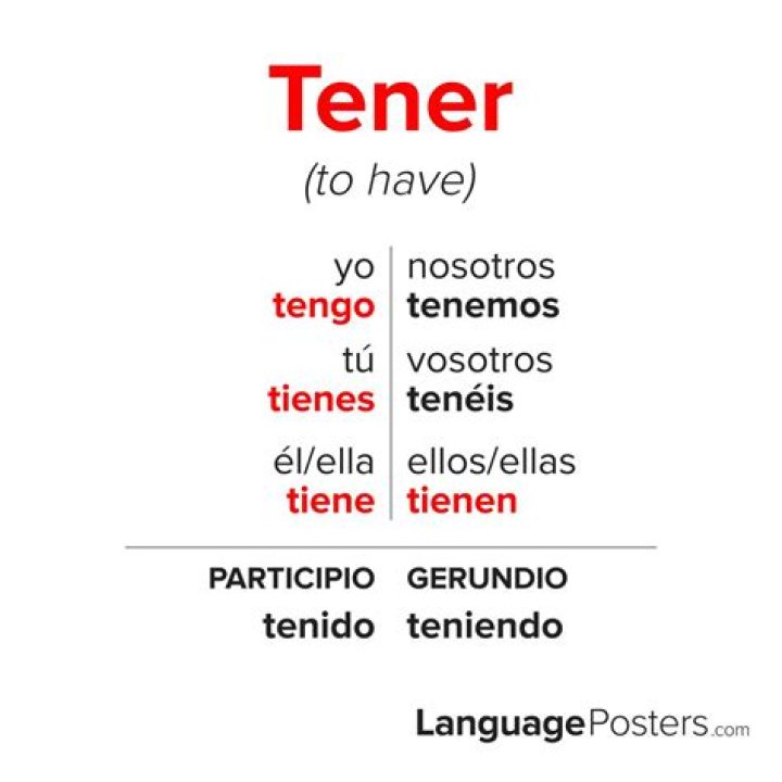 What does the expression tener ganas de mean?