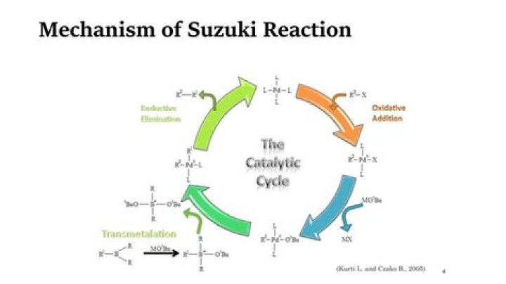 What does the Suzuki reaction do?