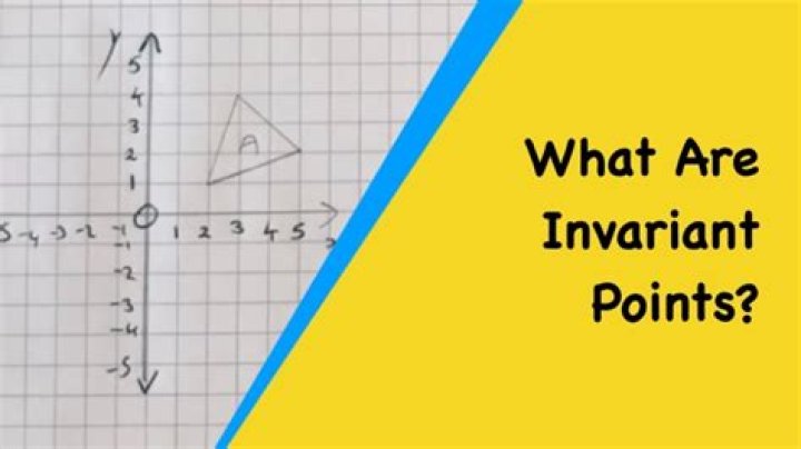 What is a class invariant c++?