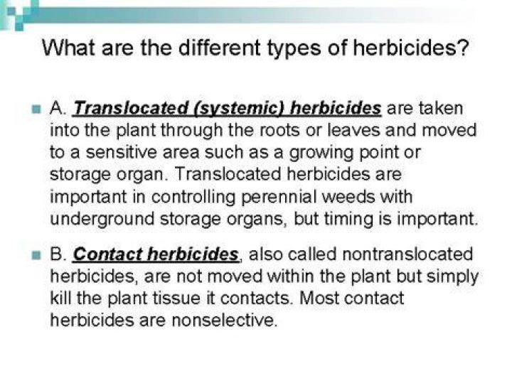 What is a translocated herbicide?