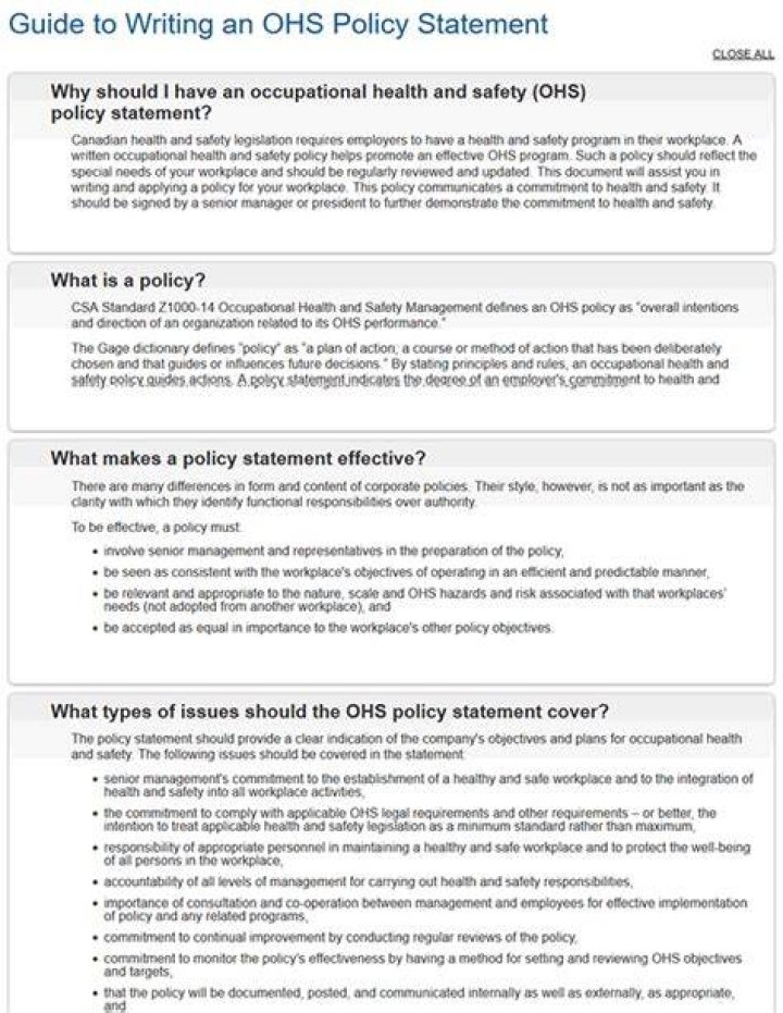 What is an OHS policy statement?