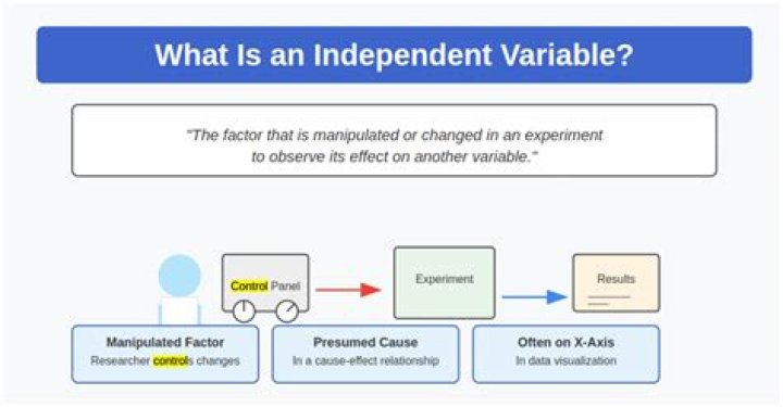 What is auto variable in C with example?