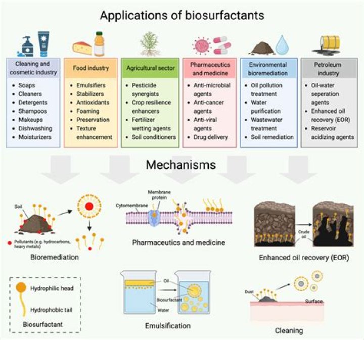 What is biosurfactant used for?