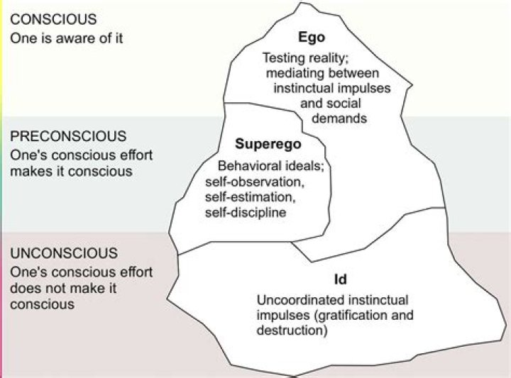 What is ego idealism?